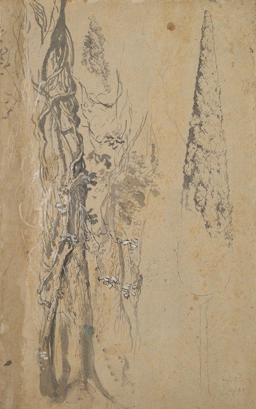 一棵柏树和两棵杂草丛生的树的研究`Study of a Cypress and Two Overgrown Trees by Joseph Werner the Younger