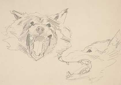 狼头的两个景观`Two Views of a Wolf’s Head by John Singer Sargent