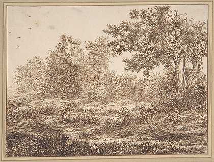 有树木的沙丘景观`Dune Landscape with Trees (17th century) by Adriaen Hendriksz. Verboom