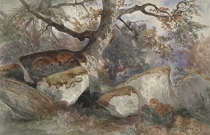森林景观`Forest Scene (mid~19th century) by Alexis-Victor Joly