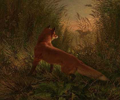 狐`Fox by Siegwald Dahl