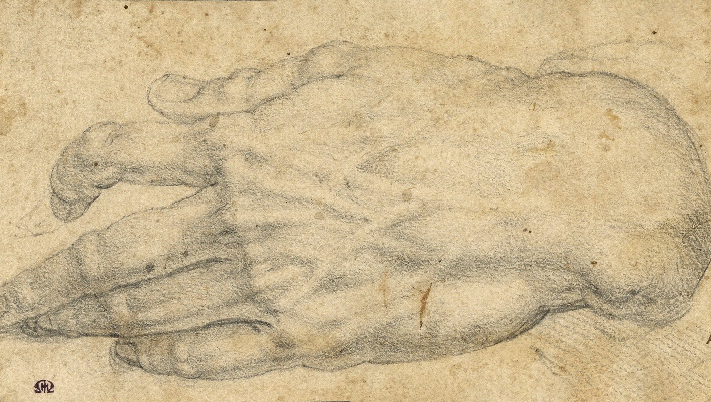 研究一个人是右手吗`Study of a mans right hand (1545–1552) by Agnolo Bronzino