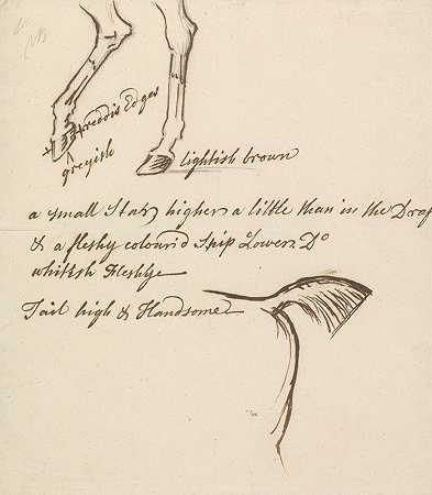 马的后腿和尾巴`Hind Legs and Tail of a Horse by James Seymour