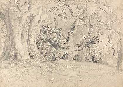 古树名木，卢灵石公园`Ancient Trees, Lullingstone Park (1828) by Samuel Palmer