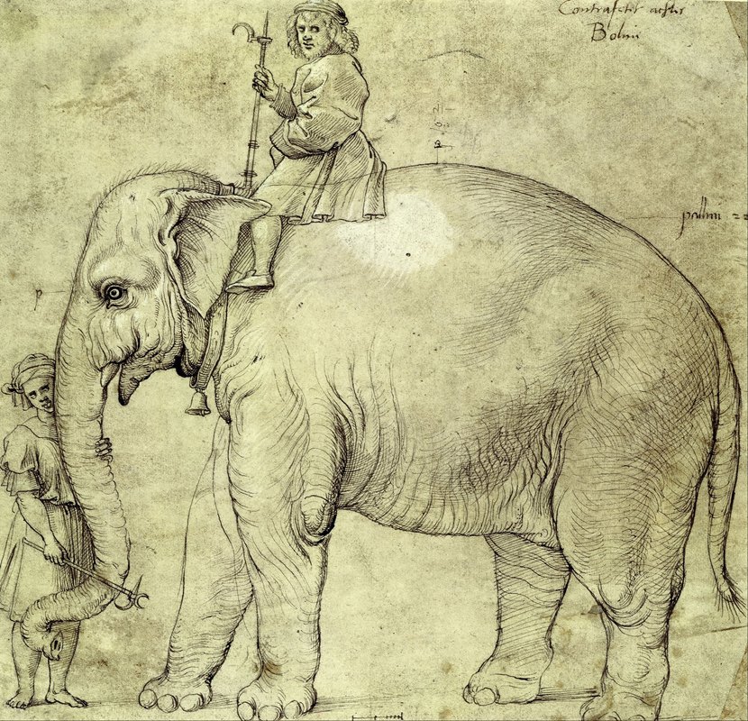 大象汉诺`The Elephant Hanno (1516) by Raphael