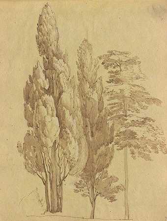 罗马及周边景观专辑，景观研究，第15a页：树木`Album with Views of Rome and Surroundings, Landscape Studies, page 15a: Trees by Franz Johann Heinrich Nadorp