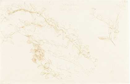 金银花`Honeysuckle (1878) by Edward John Poynter