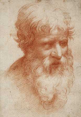一个留着胡子的男人的头，看起来很右`Head of a Bearded Man, looking right (ca. 1523 – 1525) by Parmigianino