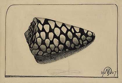Shell，右边`Schelp, naar rechts (1907) by Samuel Jessurun de Mesquita