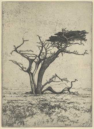鹿角`Antlers (1915) by Ernest Haskell