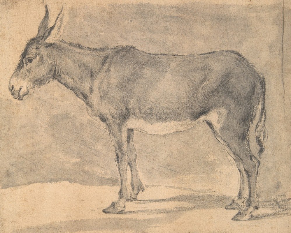 驴`Donkey (17th century) by Pieter van Laer