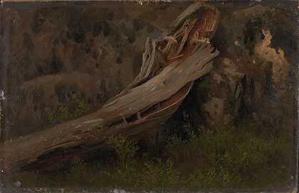 对腐烂树干的研究`Study of a decaying Trunk (1851) by August Cappelen