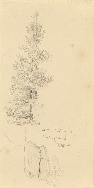 松树和岩石的研究`Study of Pine Trees and a Rock (1812) by Caspar David Friedrich