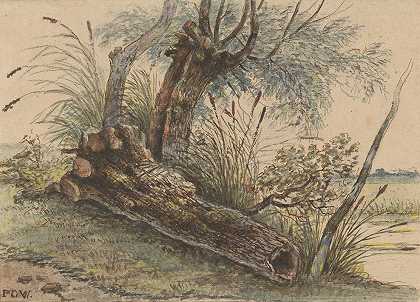 芦苇中的树干`Boomstronk in het riet (1801 ~ 1873) by George Pieter Westenberg