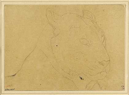 虎头`Tête de tigre (19th century) by Antoine-Louis Barye