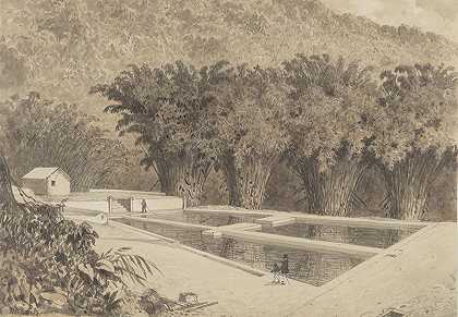 马拉瓦尔水库`The Reservoir at Maraval (1857) by Michel Jean Cazabon