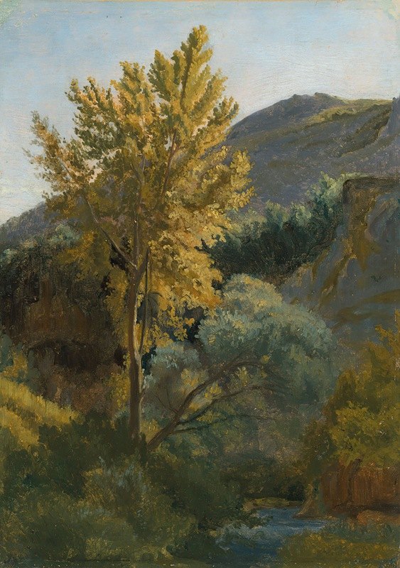 研究靠近的轴意大利的激流`Etude darbre près dun torrent en Italie (circa 1826~1827) by Jean-Baptiste-Camille Corot