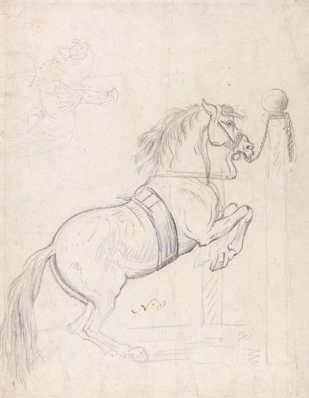 在柱子上训练，马戴着缰绳和缰绳`Training at the Pillar, Horse Wearing Bridle and Surcingle by James Seymour