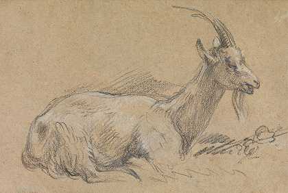 山羊的研究`Study of a Goat (late 1770s) by Thomas Gainsborough