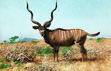 羚羊`Antilope by Wilhelm Kuhnert