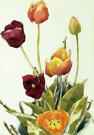 1933年绘制的郁金香`Tulips, Painted in 1933 by Charles Demuth