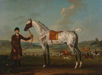 Scipio，一个有斑点的猎人，是Roche上校的财产`Scipio, a spotted hunter, the property of Colonel Roche (ca. 1750) by Thomas Spencer