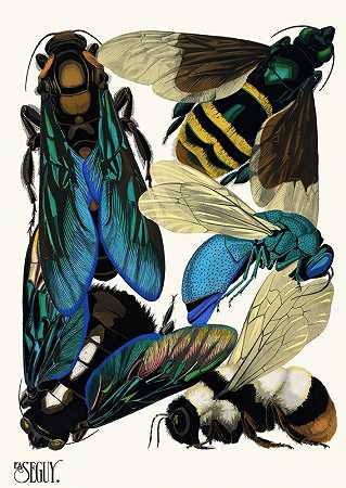 昆虫纲Pl.16`Insectes Pl.16 (1929) by Emile-Allain Séguy