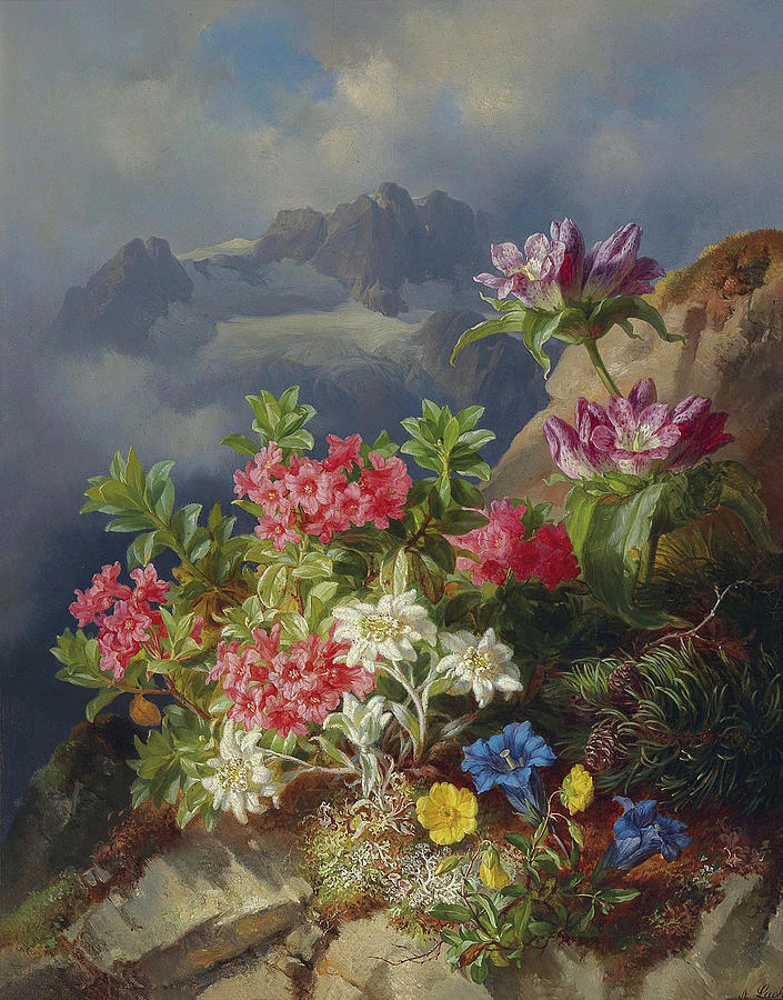 高山花卉静物画`Still Life with Alpine Flowers by Andreas Lach