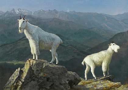 山羊乐队`Mountain Goats by Albert Bierstadt