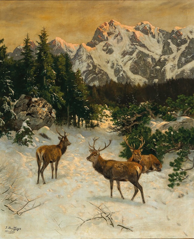 冬天阿尔卑斯山上的马鹿`Red Deer in the Alps in Winter by Josef Schmitzberger