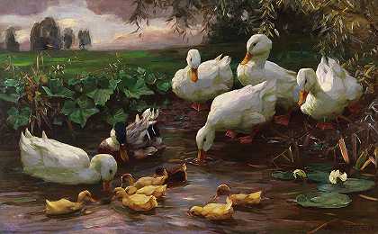 湖岸上有鸭子和小鸡的德雷克`Drake with Ducks and Chicks on the Lake Shore by Alexander Koester