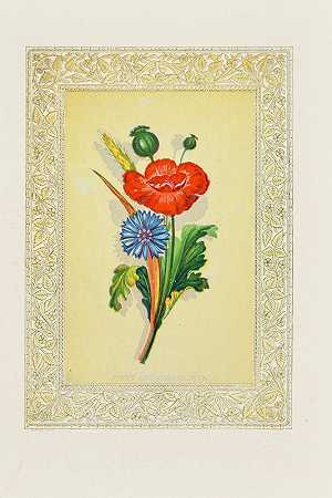 罂粟和矢车菊`Poppy and Cornflower (1869) by John H. Ingram