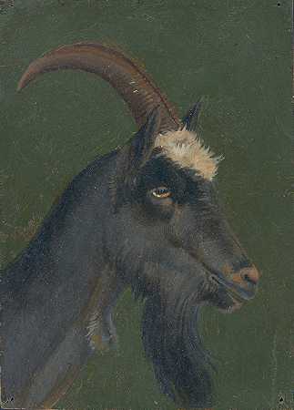 山羊头`Goat head by Christian Friedrich Gille