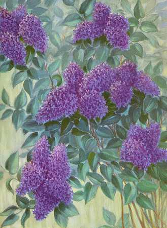 紫丁香`Purple Lilac (1937) by Lafayette F. Cargill