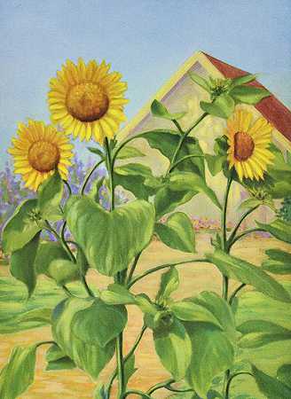 向日葵`Sunflower (1937) by Lafayette F. Cargill