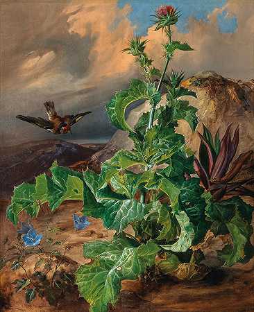 大蓟与金翅雀的静物画`Large Thistle Still Life with Goldfinch by Franz Xaver Gruber