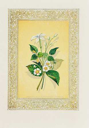 茉莉花和草莓花`Jasmine and Strawberry Blossom (1869) by John H. Ingram