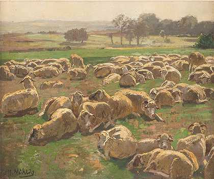 羊`Sheep by Hugo Mühlig