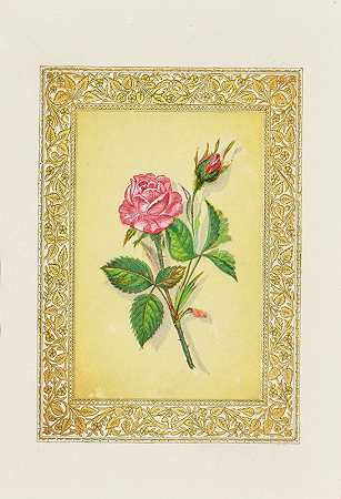 玫瑰`Rose (1869) by John H. Ingram