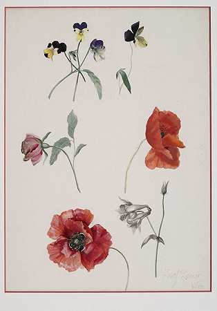 花`Blumen by Josef Lauer