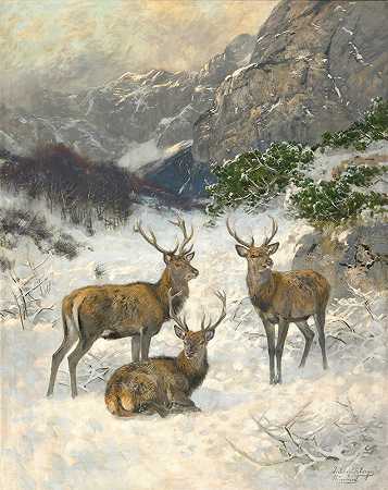 冬天的鹿群`A Deer Herd in Winter by Josef Schmitzberger