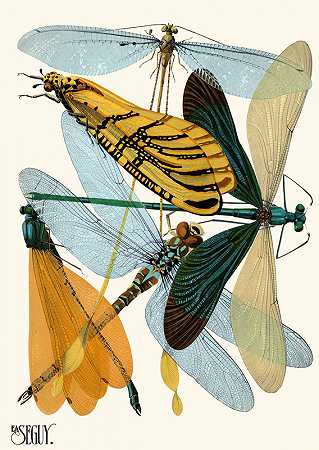 昆虫纲Pl.20`Insectes Pl.20 (1929) by Emile-Allain Séguy