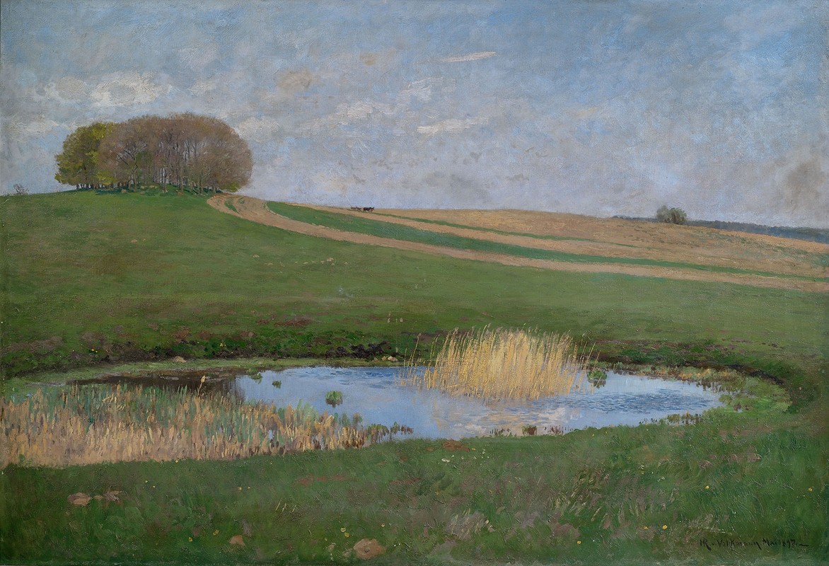 带池塘的夏季景观`Sommerlandschaft mit einem Tümpel (1897) by Hans Richard von Volkmann