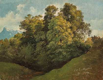 弗里德里希·泽勒，19世纪的绘画。c。` by Friedrich Zeller