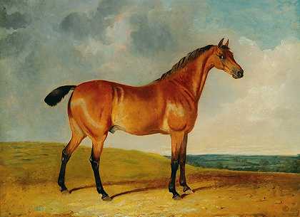 约翰·弗雷德里克·赫林·琼19世纪的画作。 by John Frederic Herring jun.