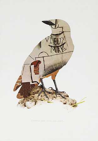 无标题（鸟类），1970年。 by Jirí Kolár