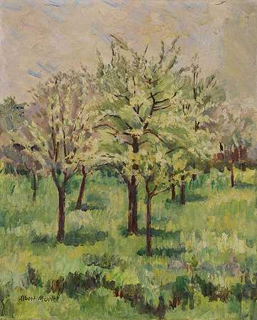 开花的树，1910年。 by Albert Mueller