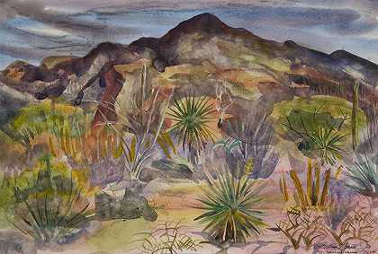 沙漠景观——图森，1964年 by William Zorach
