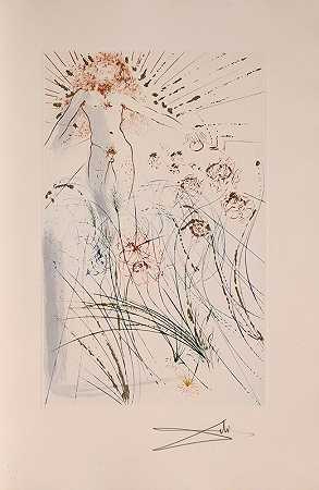 《心爱的人在百合花中觅食》（歌曲J版），1971年 by Salvador Dalí