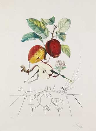龙苹果，1969年。 by Salvador Dalí